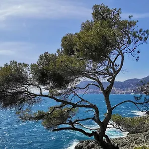 Incantevole Indipendente A Due Passi Mare , Latte Italia