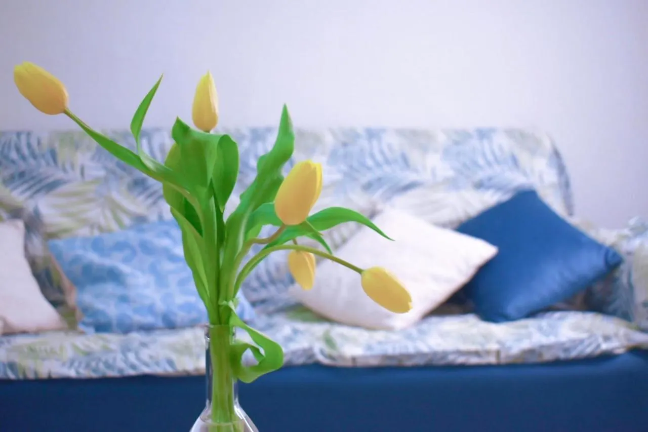 Appartamento Mallorca holiday home Alghero